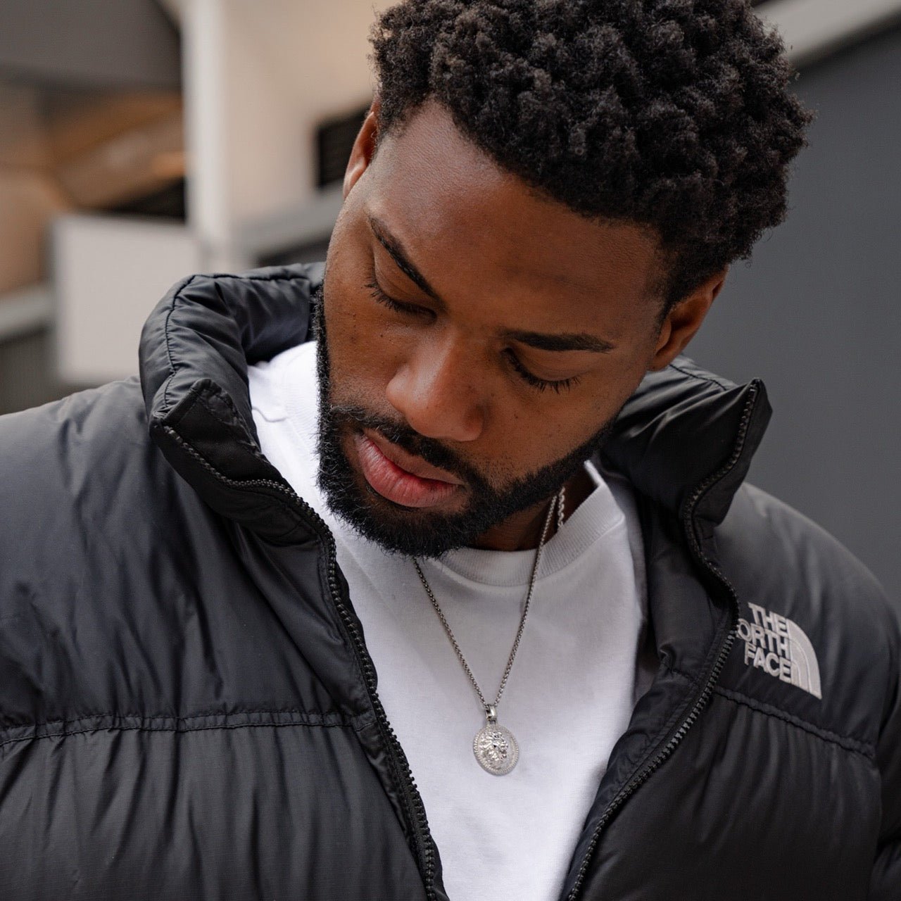 ASLAN [LION - SILVER] - Forge & FoundryPendantForge & Foundry