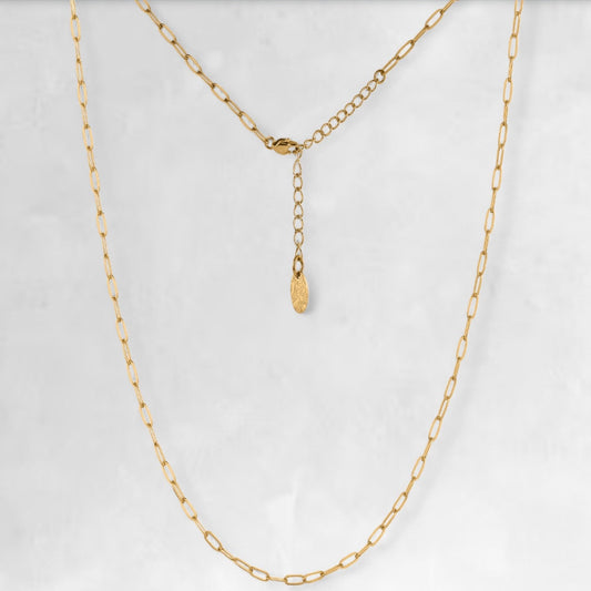 MARTEL [3MM PAPERCLIP - GOLD] - Forge & FoundryNecklaceForge & Foundry
